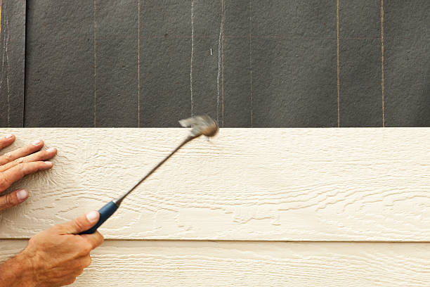 Best Historical Building Siding Restoration  in Newbern, TN